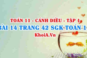 Bài 14 trang 42 SGK Toán 11 tập 1 Cánh Diều